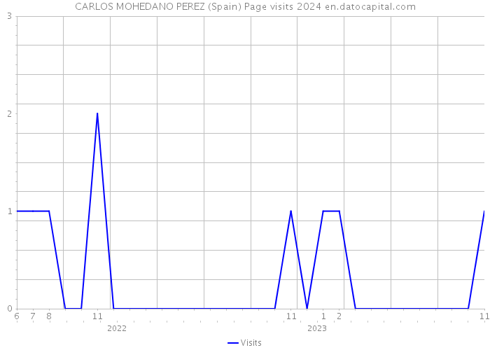 CARLOS MOHEDANO PEREZ (Spain) Page visits 2024 