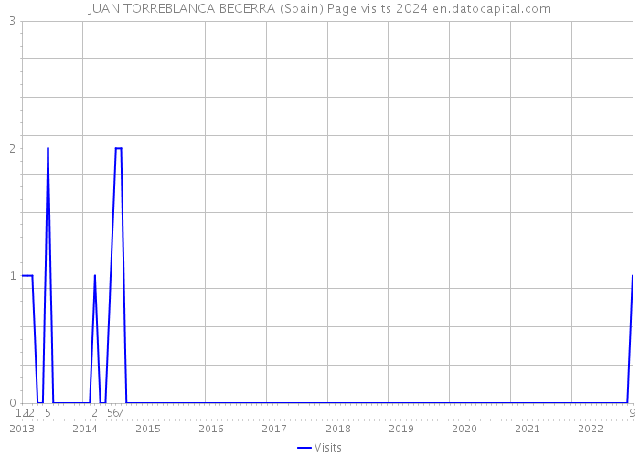 JUAN TORREBLANCA BECERRA (Spain) Page visits 2024 