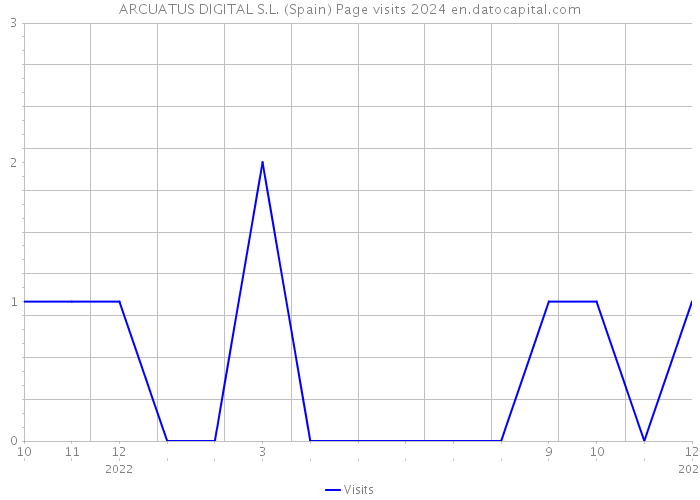 ARCUATUS DIGITAL S.L. (Spain) Page visits 2024 