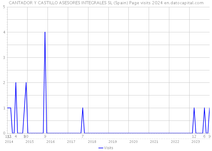 CANTADOR Y CASTILLO ASESORES INTEGRALES SL (Spain) Page visits 2024 