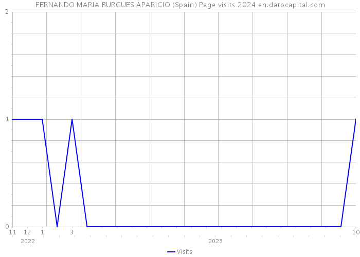 FERNANDO MARIA BURGUES APARICIO (Spain) Page visits 2024 