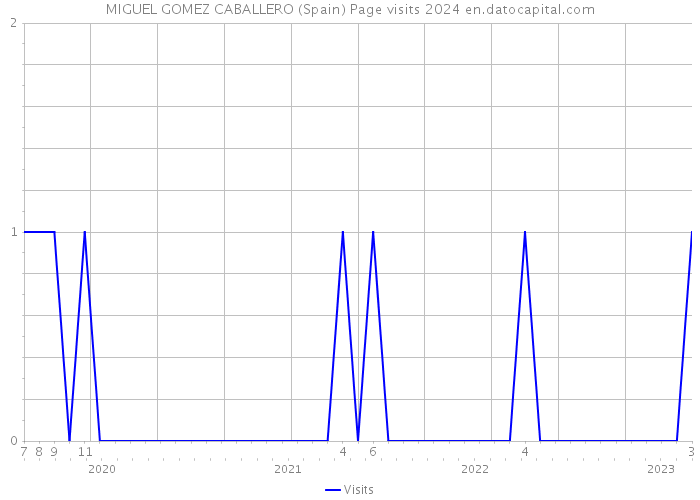 MIGUEL GOMEZ CABALLERO (Spain) Page visits 2024 