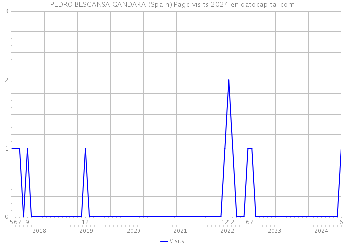 PEDRO BESCANSA GANDARA (Spain) Page visits 2024 