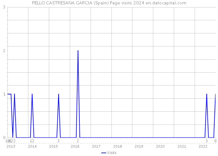 PELLO CASTRESANA GARCIA (Spain) Page visits 2024 