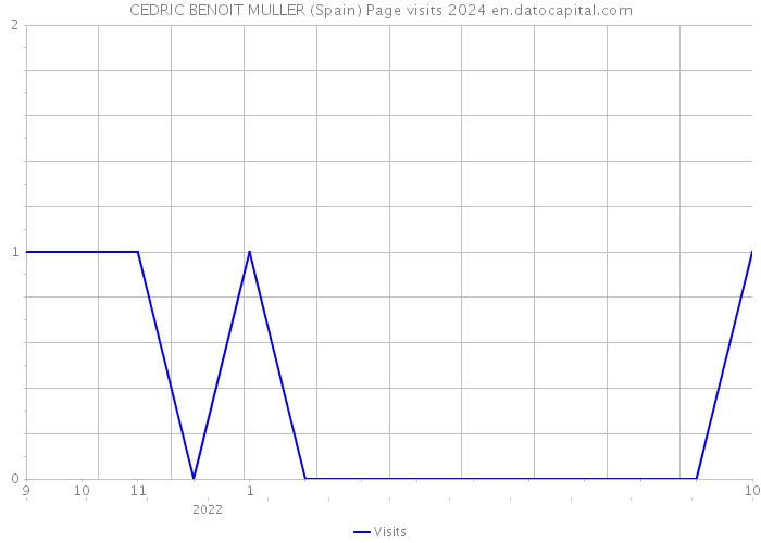 CEDRIC BENOIT MULLER (Spain) Page visits 2024 