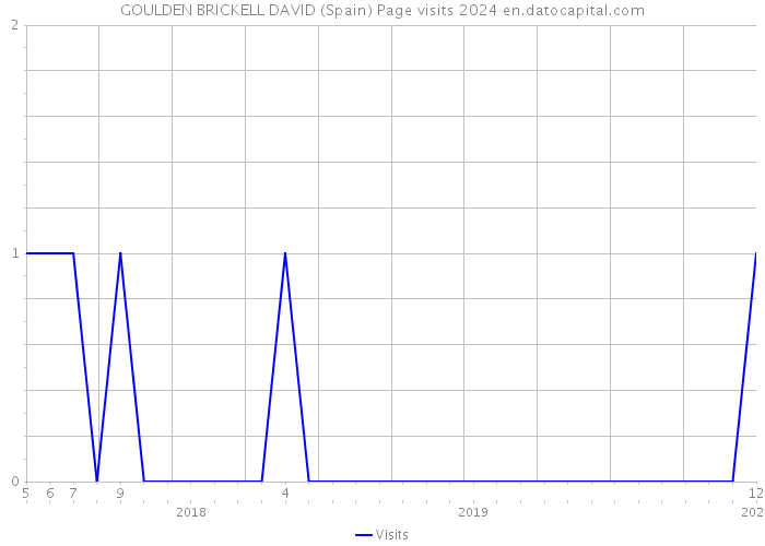 GOULDEN BRICKELL DAVID (Spain) Page visits 2024 