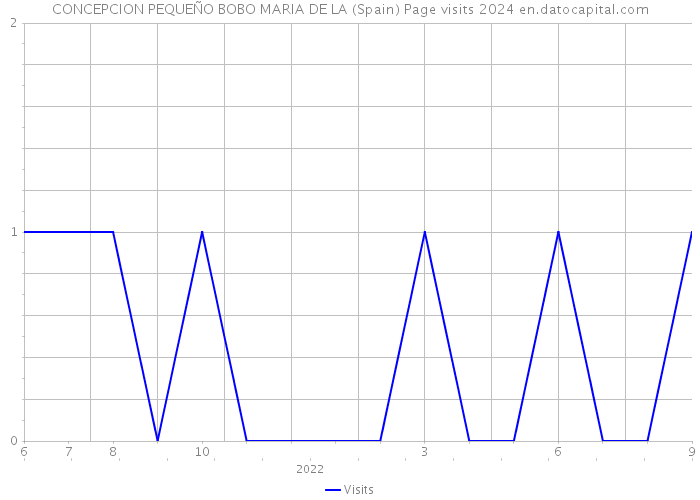 CONCEPCION PEQUEÑO BOBO MARIA DE LA (Spain) Page visits 2024 