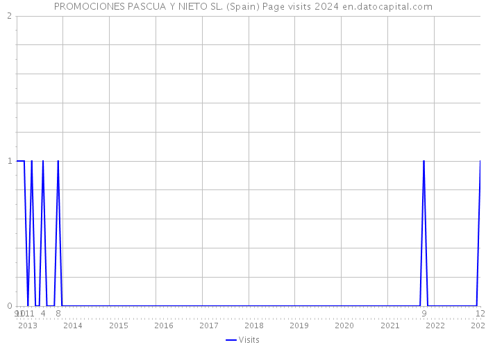 PROMOCIONES PASCUA Y NIETO SL. (Spain) Page visits 2024 