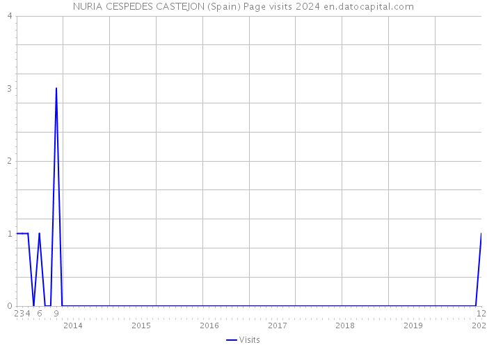 NURIA CESPEDES CASTEJON (Spain) Page visits 2024 