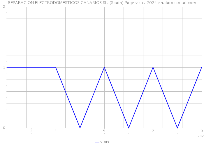 REPARACION ELECTRODOMESTICOS CANARIOS SL. (Spain) Page visits 2024 