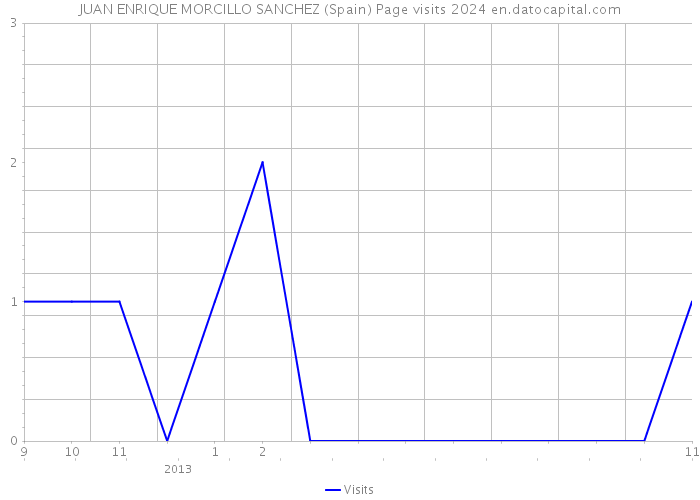 JUAN ENRIQUE MORCILLO SANCHEZ (Spain) Page visits 2024 