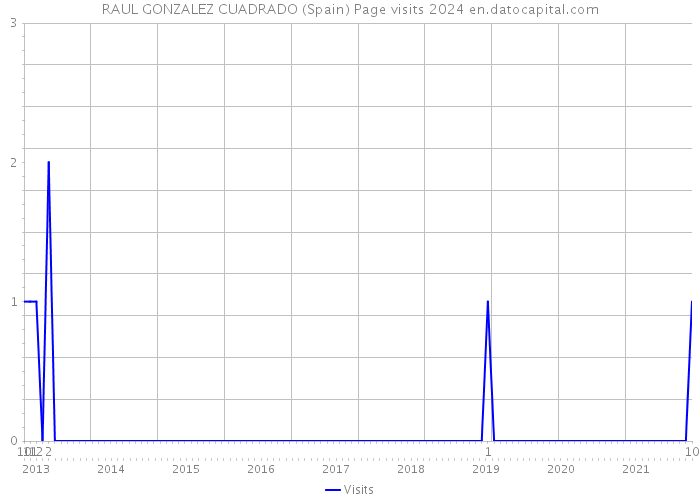 RAUL GONZALEZ CUADRADO (Spain) Page visits 2024 
