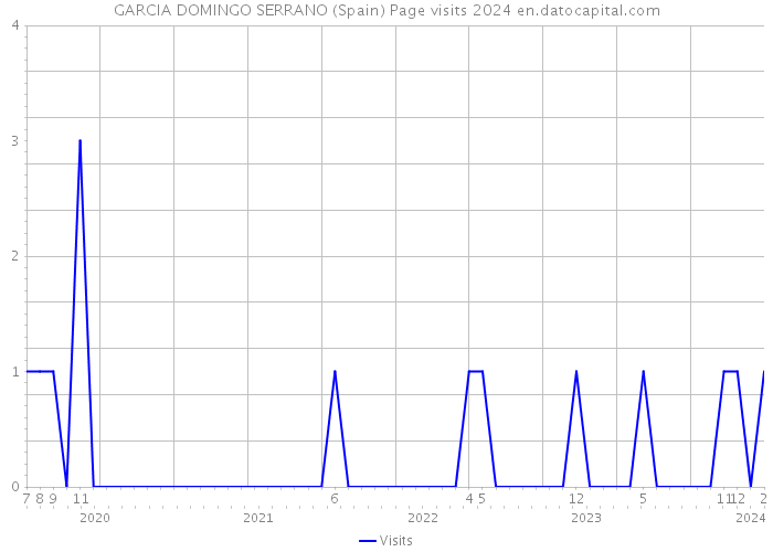 GARCIA DOMINGO SERRANO (Spain) Page visits 2024 