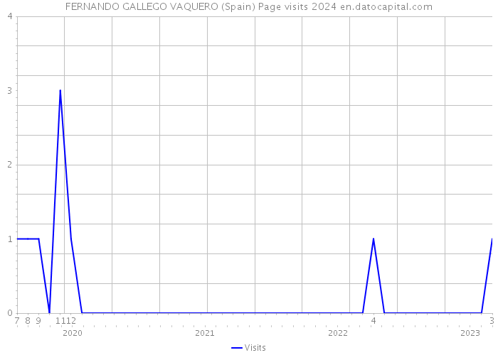FERNANDO GALLEGO VAQUERO (Spain) Page visits 2024 