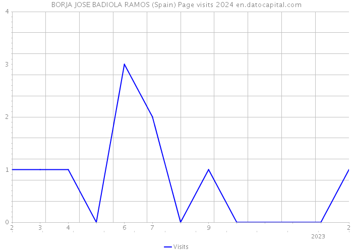 BORJA JOSE BADIOLA RAMOS (Spain) Page visits 2024 