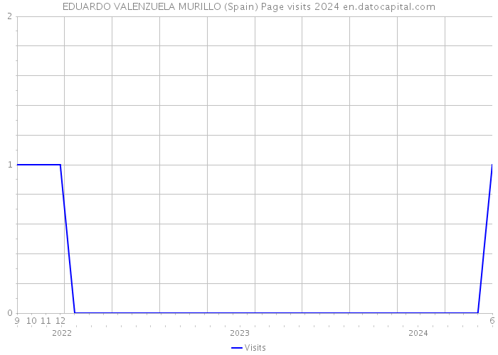 EDUARDO VALENZUELA MURILLO (Spain) Page visits 2024 