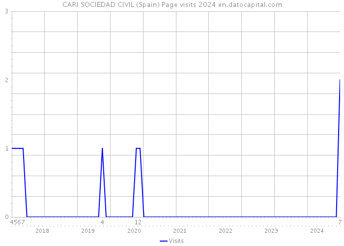 CARI SOCIEDAD CIVIL (Spain) Page visits 2024 