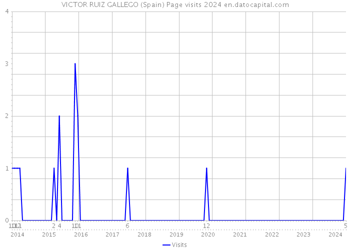 VICTOR RUIZ GALLEGO (Spain) Page visits 2024 