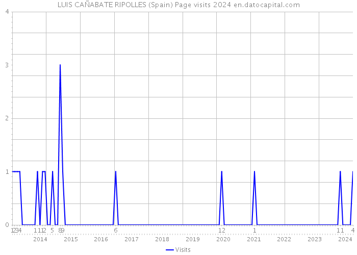 LUIS CAÑABATE RIPOLLES (Spain) Page visits 2024 