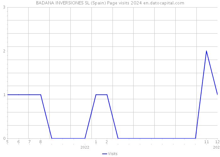 BADANA INVERSIONES SL (Spain) Page visits 2024 