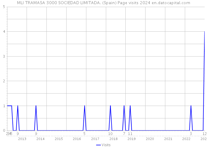 MLI TRAMASA 3000 SOCIEDAD LIMITADA. (Spain) Page visits 2024 