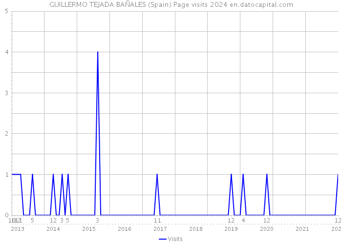 GUILLERMO TEJADA BAÑALES (Spain) Page visits 2024 