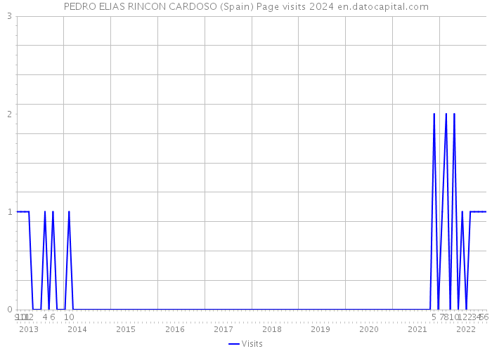 PEDRO ELIAS RINCON CARDOSO (Spain) Page visits 2024 