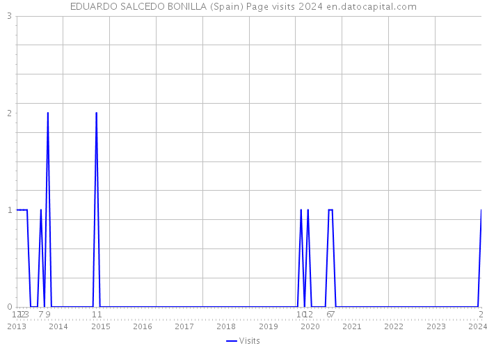 EDUARDO SALCEDO BONILLA (Spain) Page visits 2024 