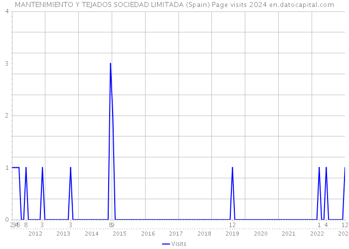 MANTENIMIENTO Y TEJADOS SOCIEDAD LIMITADA (Spain) Page visits 2024 