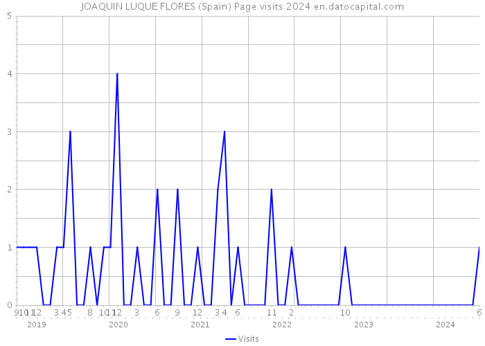JOAQUIN LUQUE FLORES (Spain) Page visits 2024 