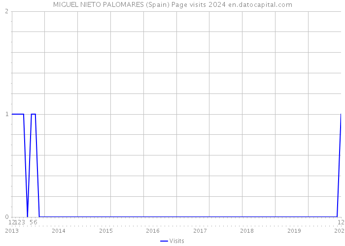 MIGUEL NIETO PALOMARES (Spain) Page visits 2024 