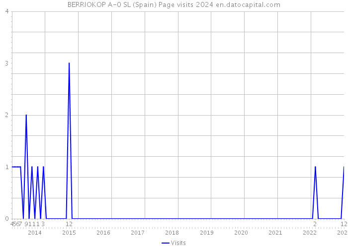 BERRIOKOP A-0 SL (Spain) Page visits 2024 