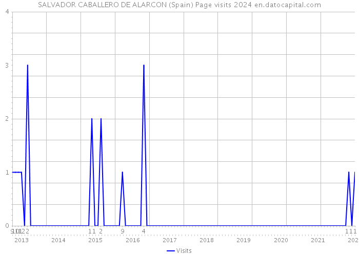 SALVADOR CABALLERO DE ALARCON (Spain) Page visits 2024 