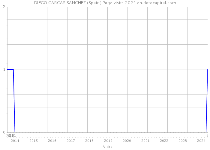 DIEGO CARCAS SANCHEZ (Spain) Page visits 2024 