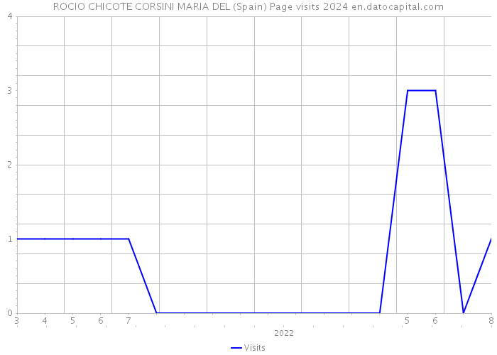 ROCIO CHICOTE CORSINI MARIA DEL (Spain) Page visits 2024 