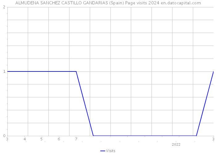 ALMUDENA SANCHEZ CASTILLO GANDARIAS (Spain) Page visits 2024 