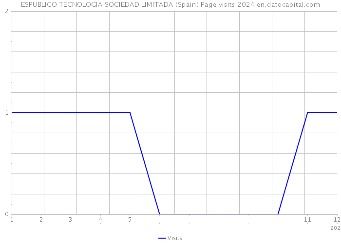 ESPUBLICO TECNOLOGIA SOCIEDAD LIMITADA (Spain) Page visits 2024 