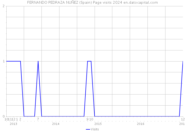 FERNANDO PEDRAZA NUÑEZ (Spain) Page visits 2024 