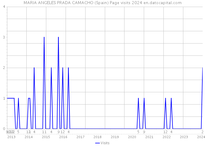 MARIA ANGELES PRADA CAMACHO (Spain) Page visits 2024 