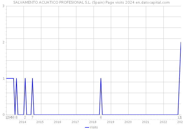 SALVAMENTO ACUATICO PROFESIONAL S.L. (Spain) Page visits 2024 