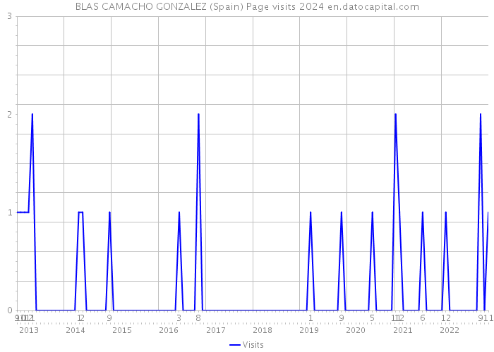 BLAS CAMACHO GONZALEZ (Spain) Page visits 2024 