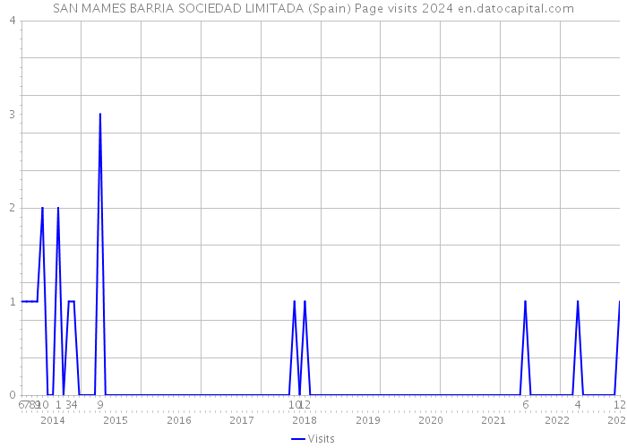 SAN MAMES BARRIA SOCIEDAD LIMITADA (Spain) Page visits 2024 