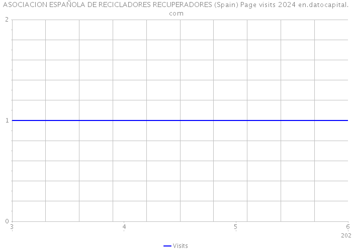ASOCIACION ESPAÑOLA DE RECICLADORES RECUPERADORES (Spain) Page visits 2024 