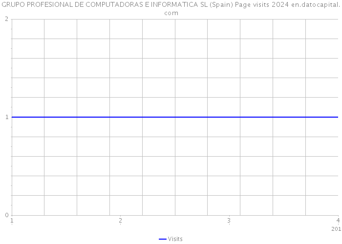 GRUPO PROFESIONAL DE COMPUTADORAS E INFORMATICA SL (Spain) Page visits 2024 