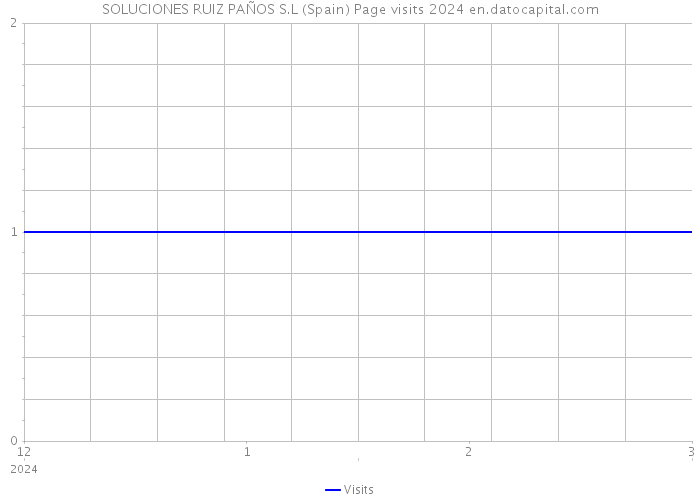 SOLUCIONES RUIZ PAÑOS S.L (Spain) Page visits 2024 