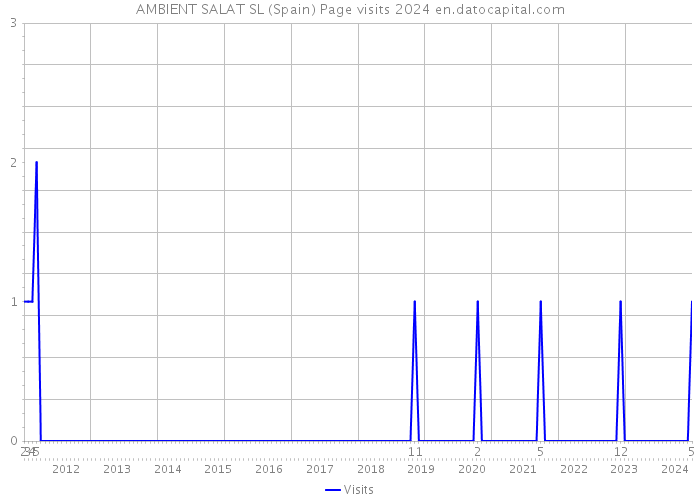 AMBIENT SALAT SL (Spain) Page visits 2024 