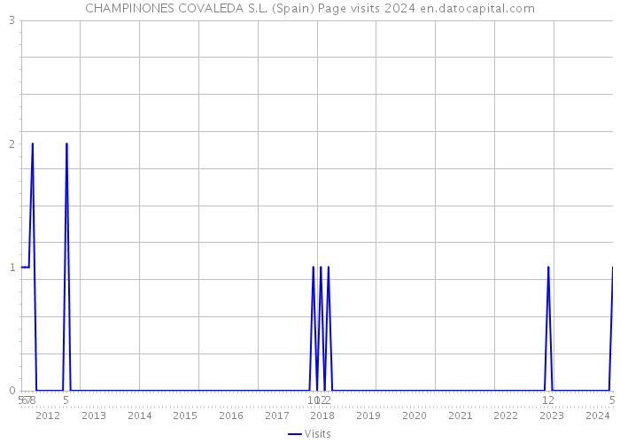 CHAMPINONES COVALEDA S.L. (Spain) Page visits 2024 