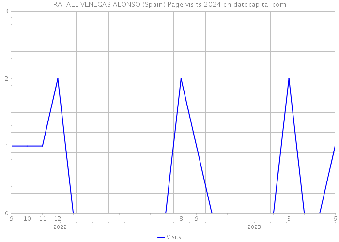 RAFAEL VENEGAS ALONSO (Spain) Page visits 2024 