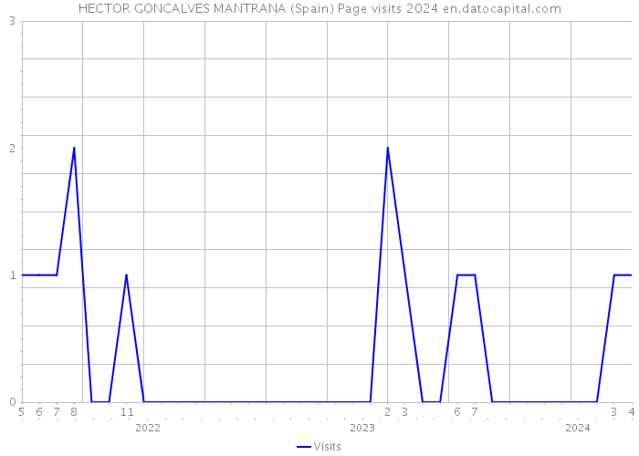 HECTOR GONCALVES MANTRANA (Spain) Page visits 2024 