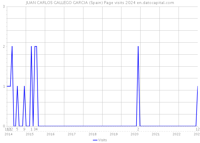 JUAN CARLOS GALLEGO GARCIA (Spain) Page visits 2024 